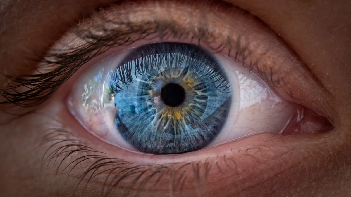 Humans have weirdly white eyes. Here’s why.