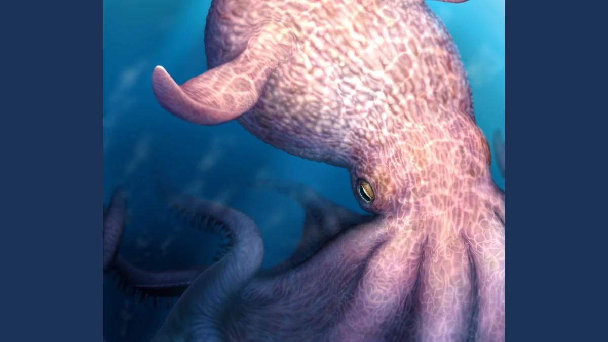 65-foot-long octopuses ruled ancient oceans