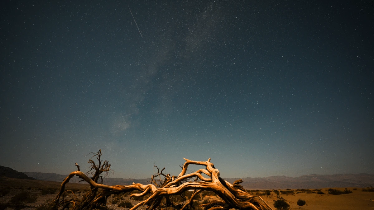July Stargazing: Meteors, more meteors, Pluto, and even more meteors