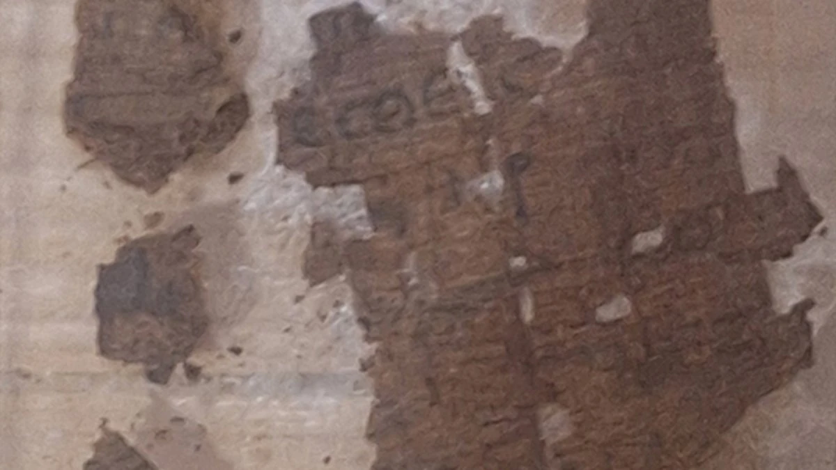 Egyptian mummy discovered stuffed with excerpt from ‘The Iliad’