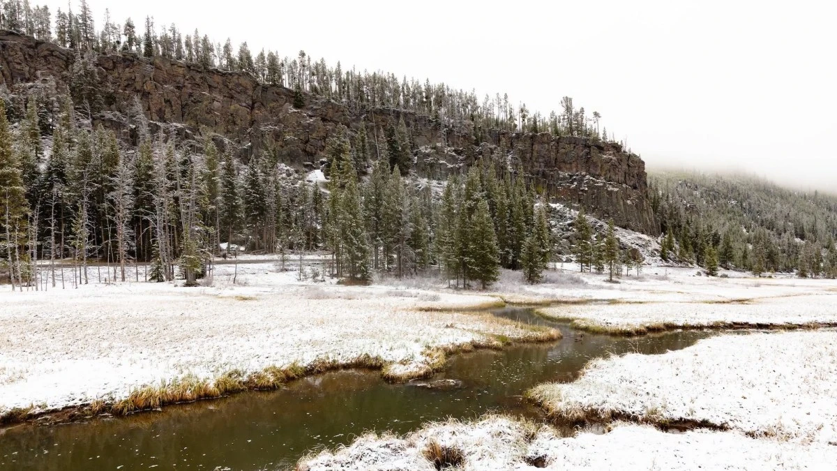 It snowed in Yellowstone this week