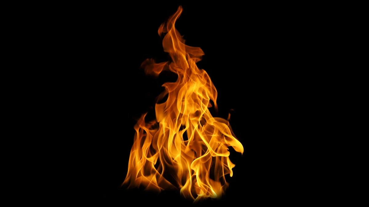 Why humans find fire so mesmerizing