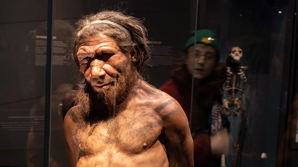 Could we ever clone Neanderthals?