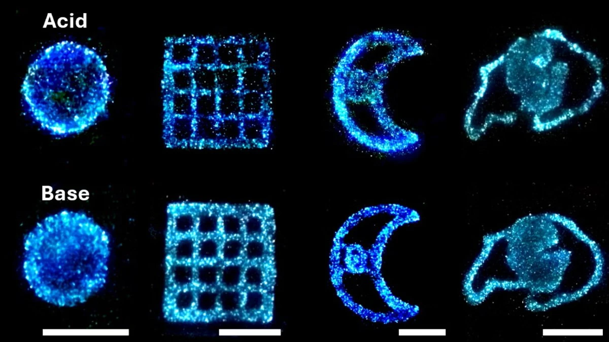 Glowing algae could power the lamps of the future