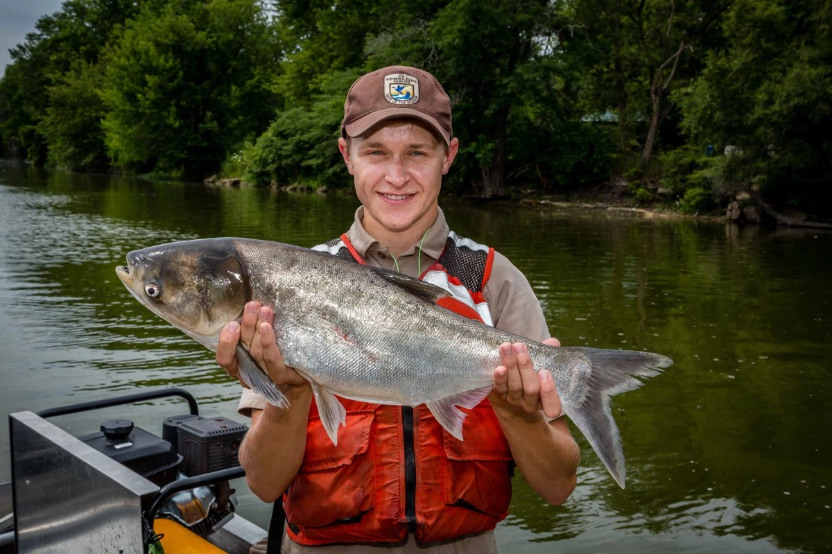 50 million pounds of invasive fish removed from Illinois River