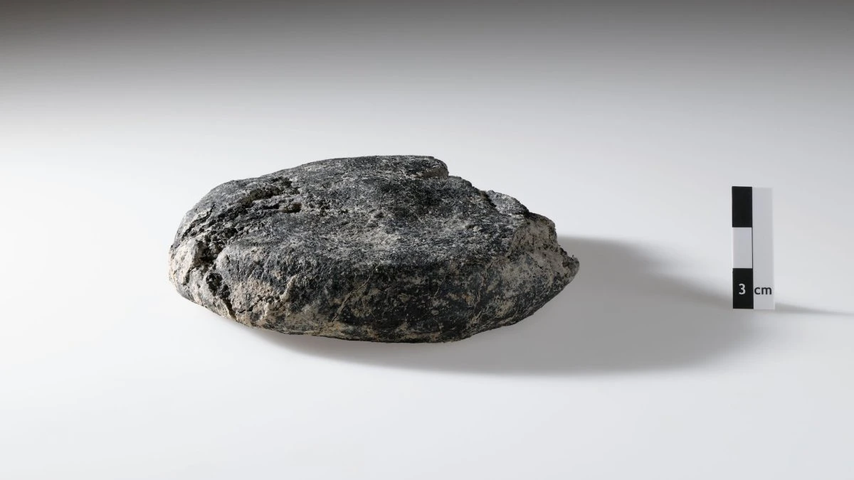 2,000-year-old Roman bread discovered under construction site