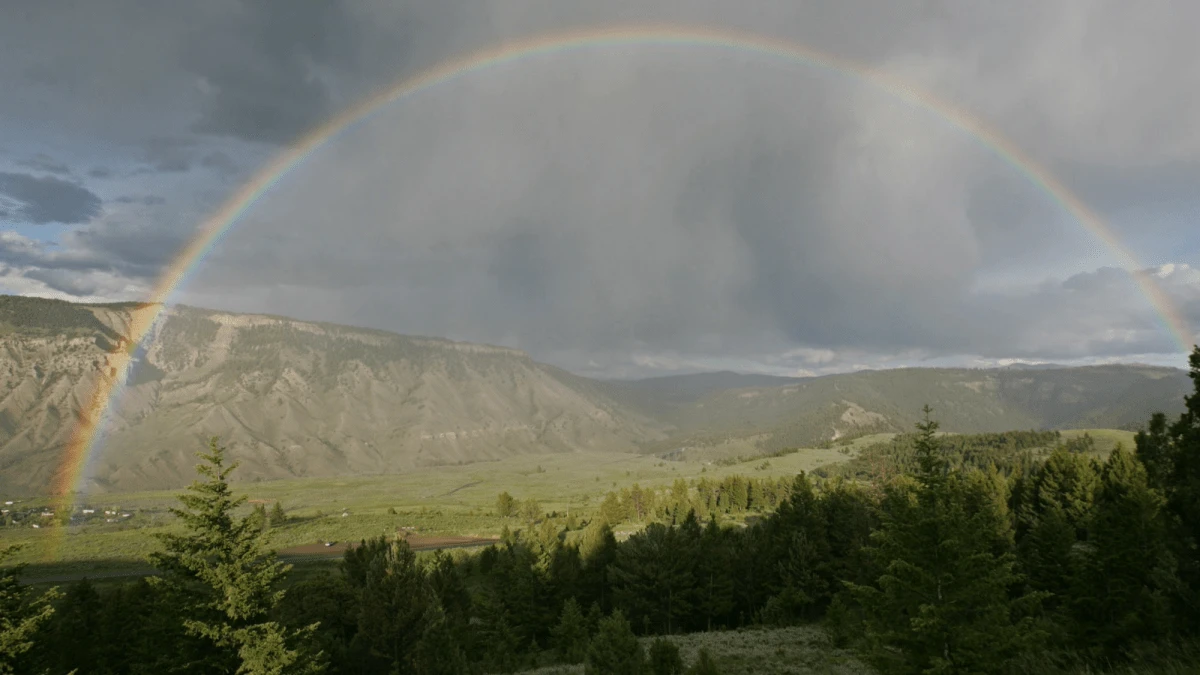 10 must-know tips for visiting Yellowstone National Park