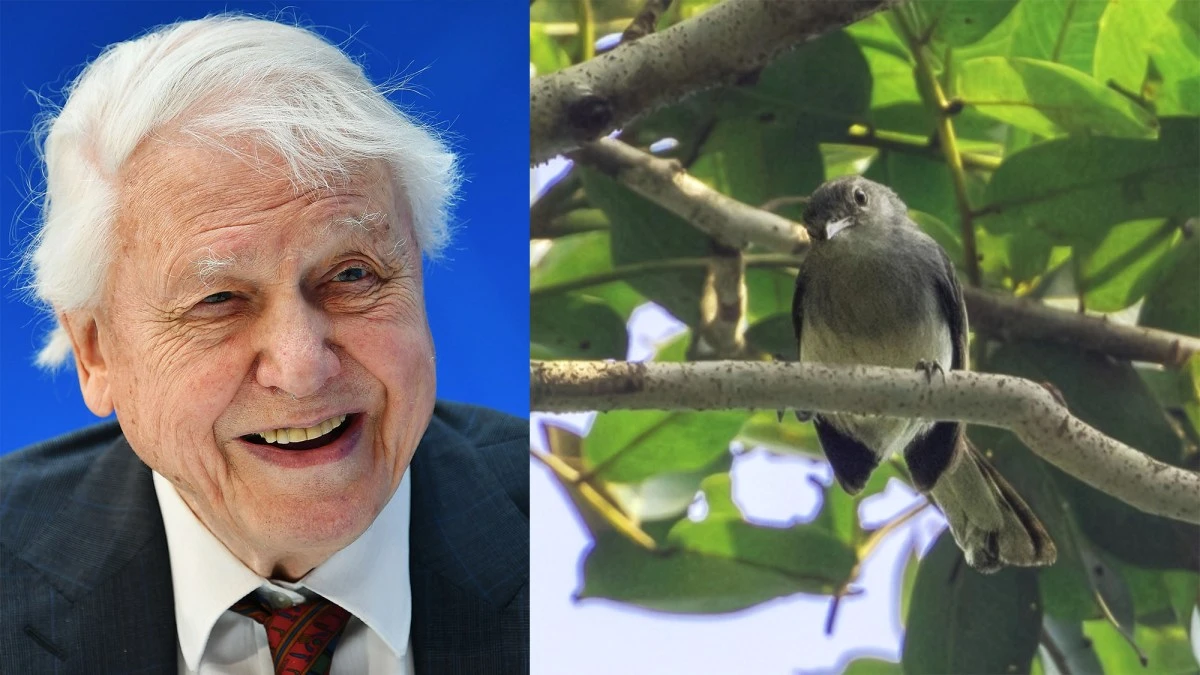 6 famous people with animals named in their honor