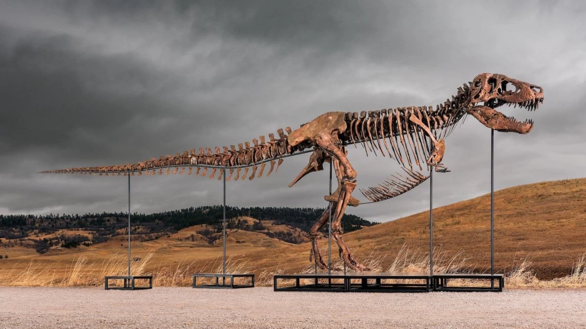This T. rex could be yours for $30 million