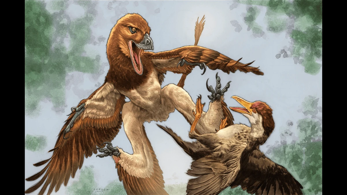 Velociraptor’s cousin flew like a flying squirrel