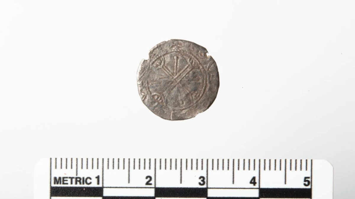 Rare coin from Norway’s last Viking king mistaken for old button
