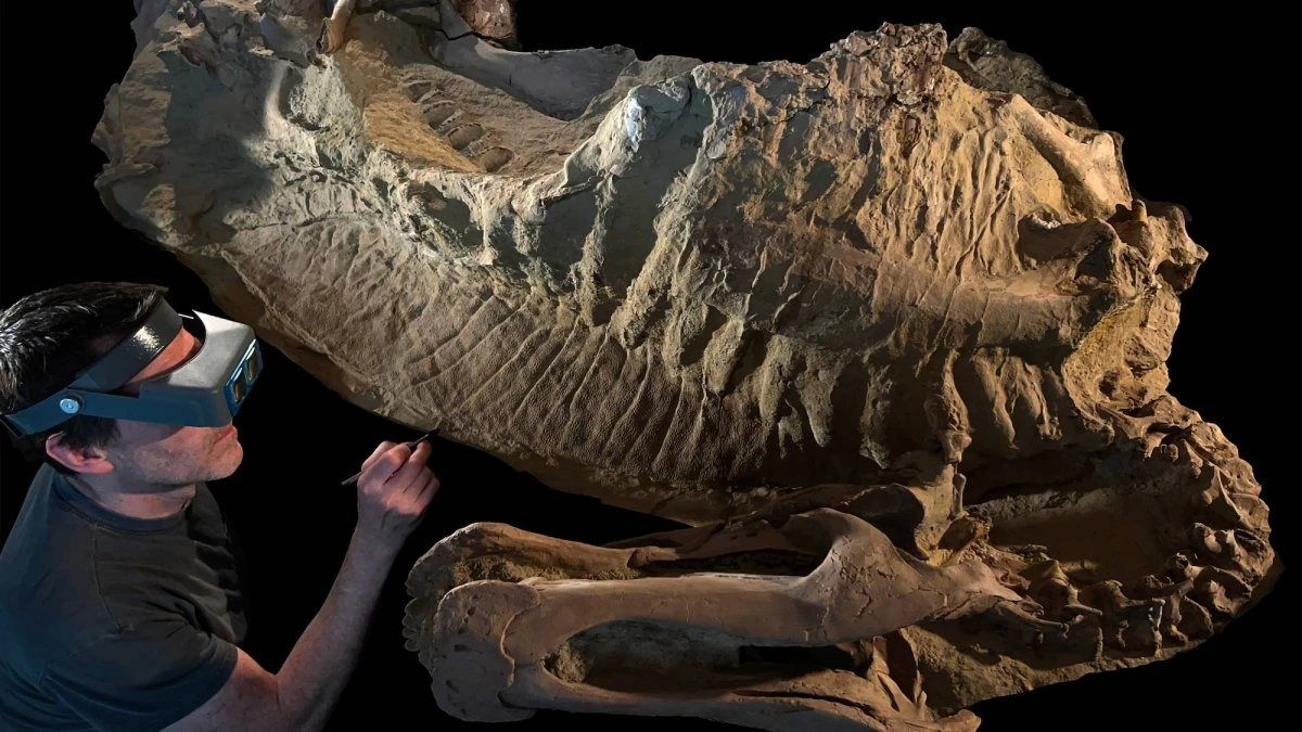 Dinosaur ‘mummies’ prove some dinos had hooves