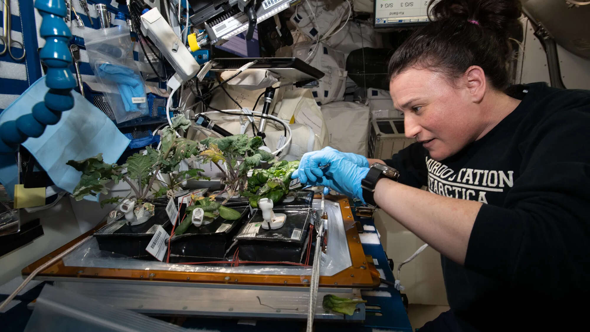 ISS astronauts conduct experiments using household items