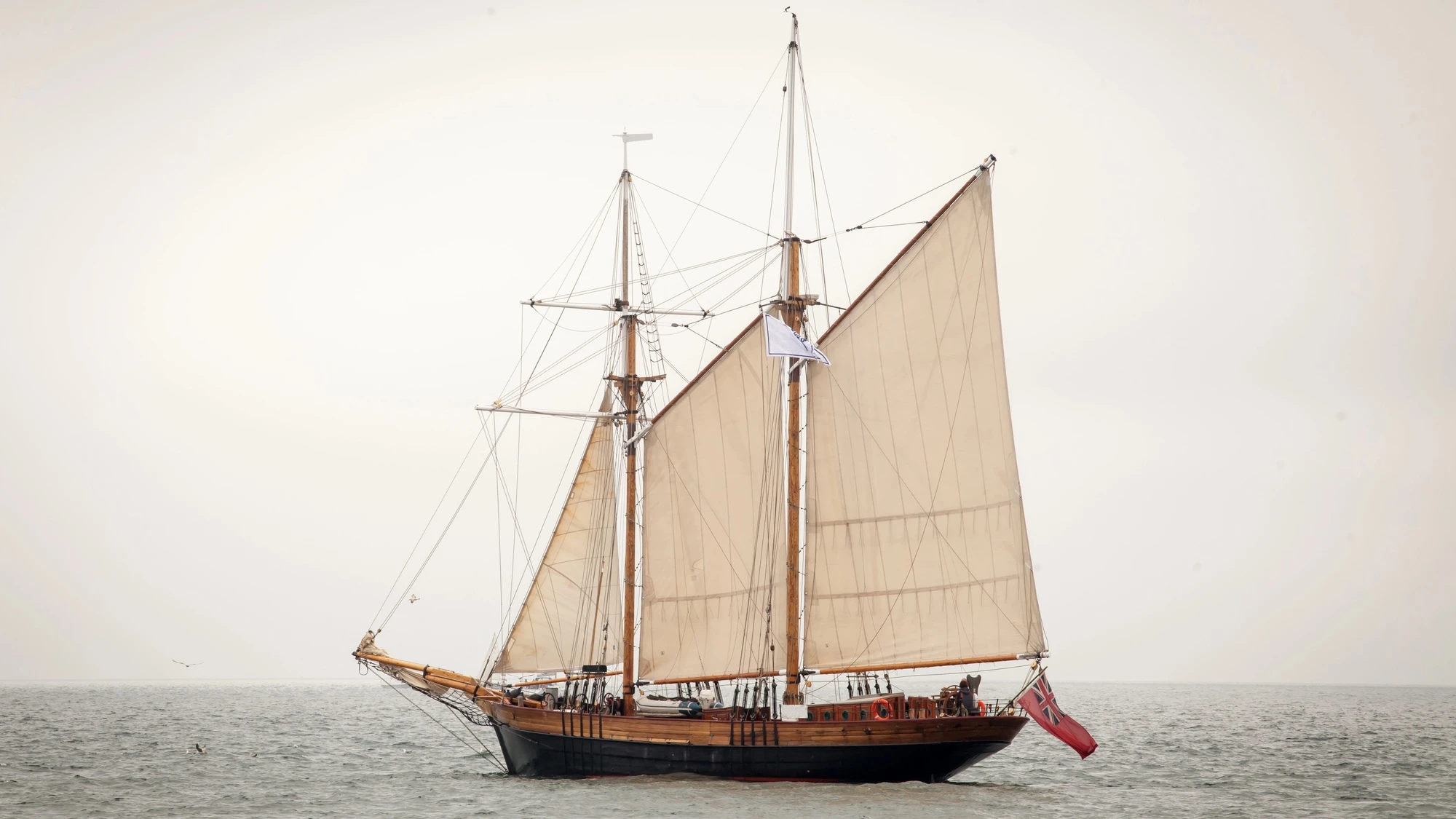 Skull found on New Jersey beach linked to 19th century shipwreck