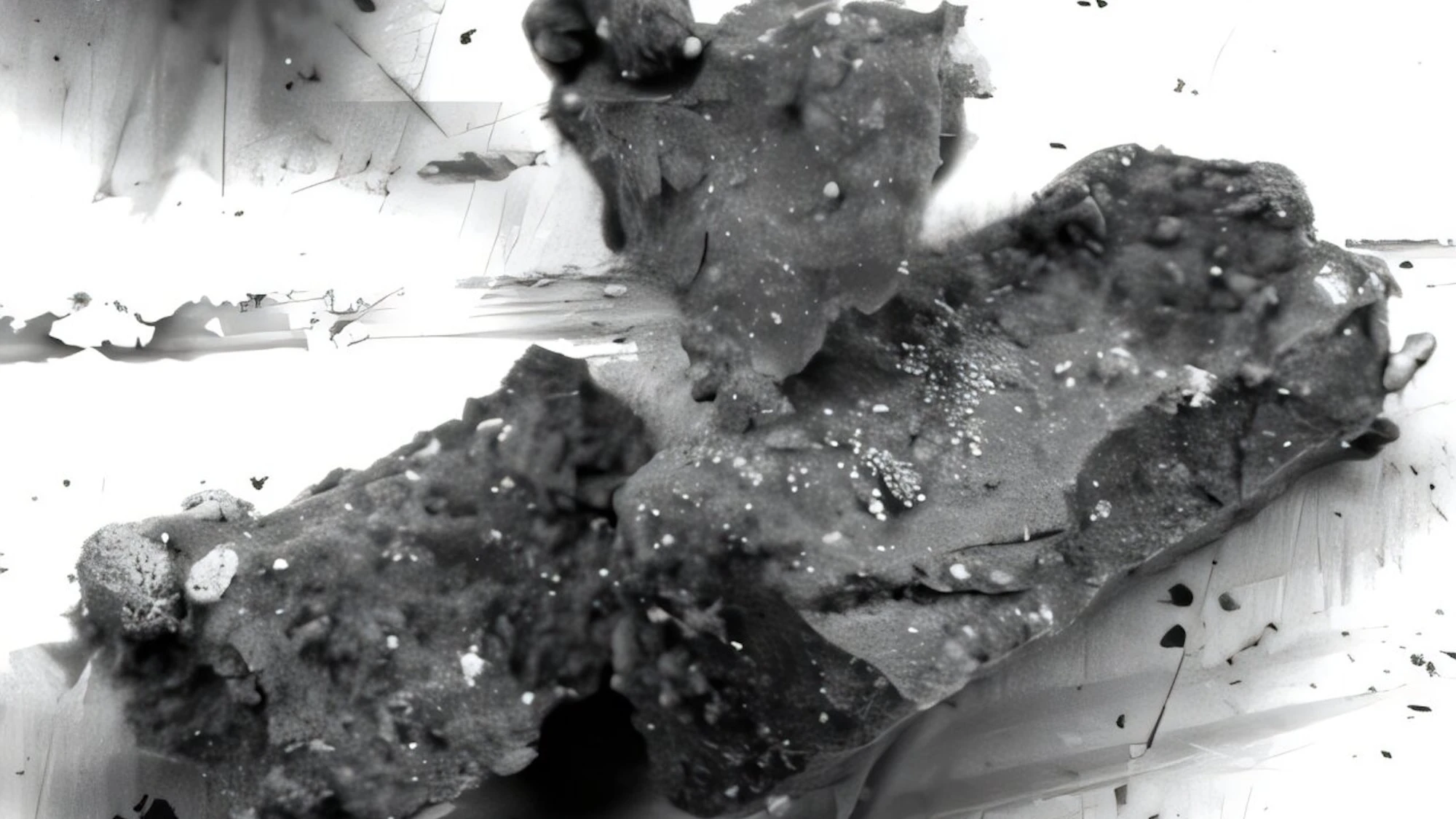 Deep space asteroid sample contains unexpected ingredient