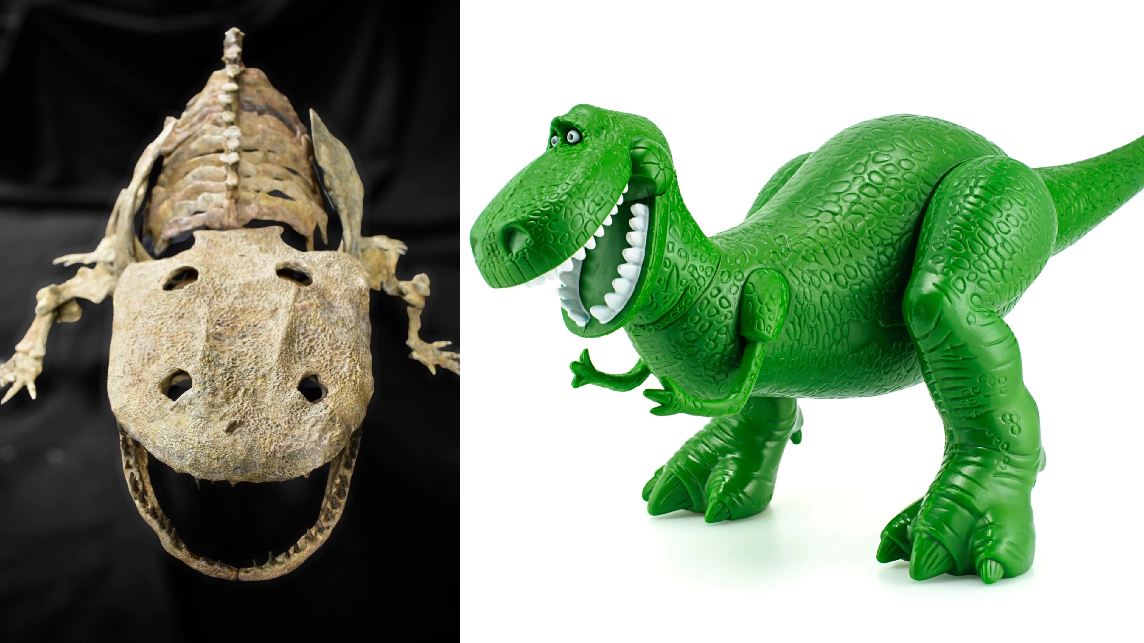 Skull that looks like a ‘Toy Story’ character unearthed in Texas