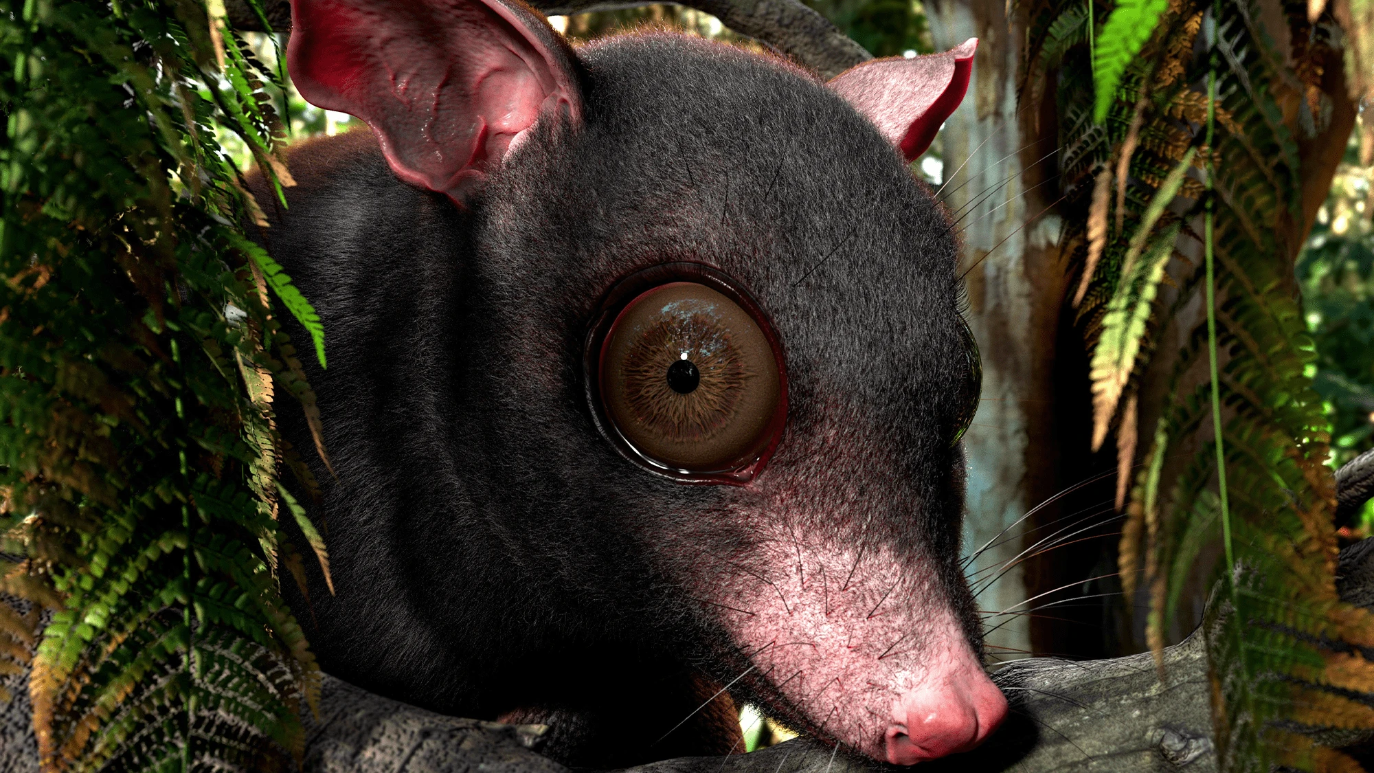 Shockingly large extinct possum uncovered in Texas
