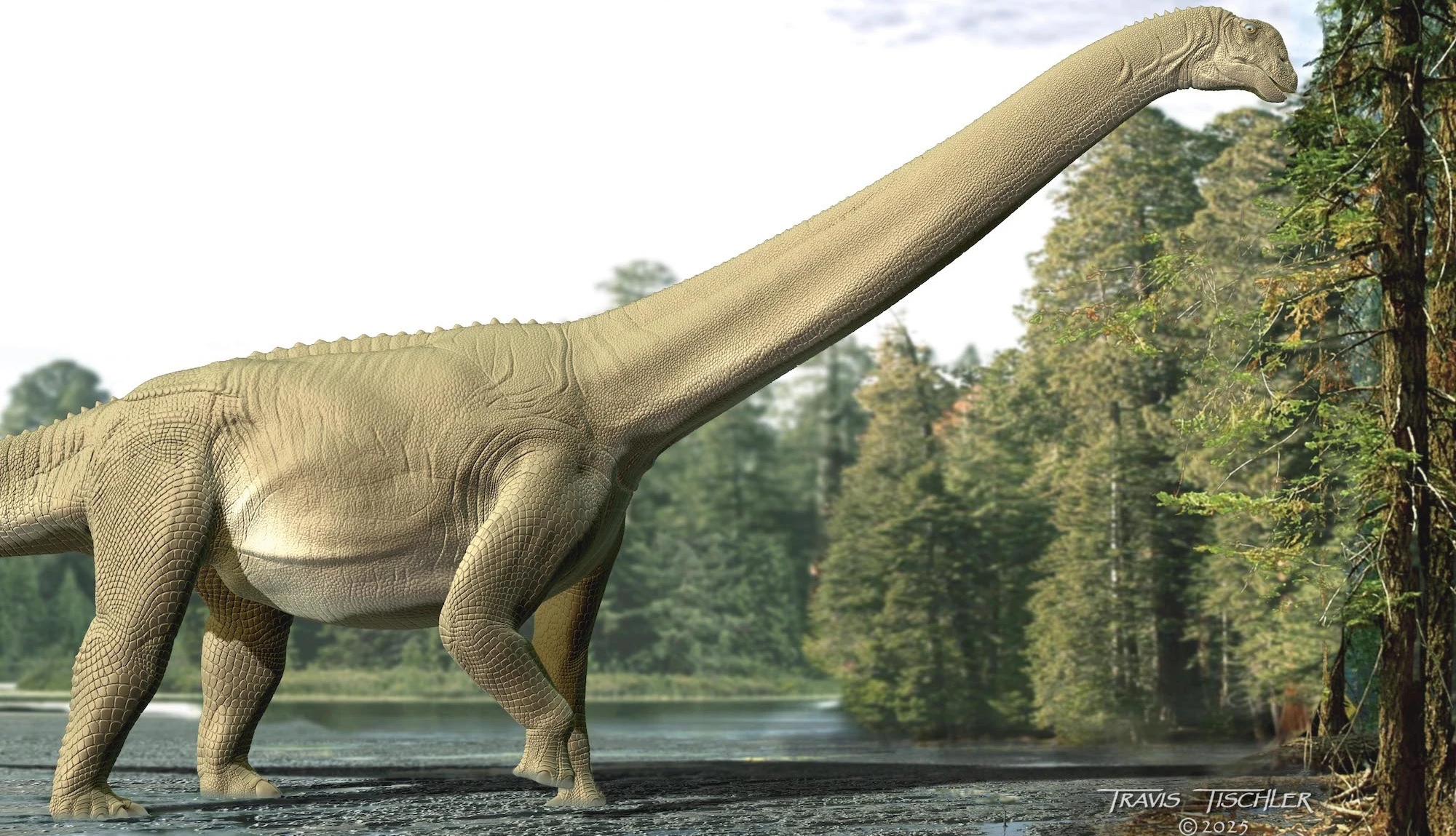 Paleontologists dig through fossilized dino guts to see what’s inside