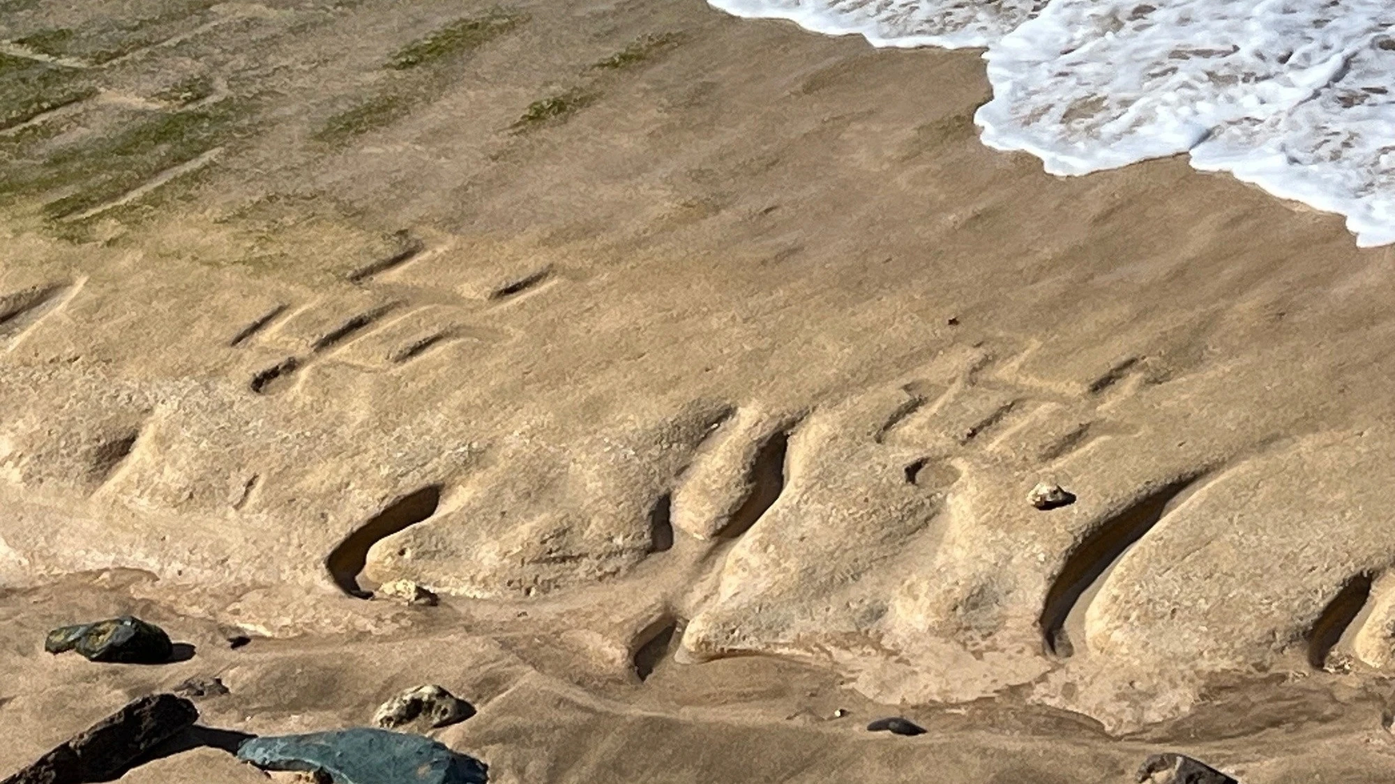 500-year-old petroglyphs resurface on Hawai’i beach