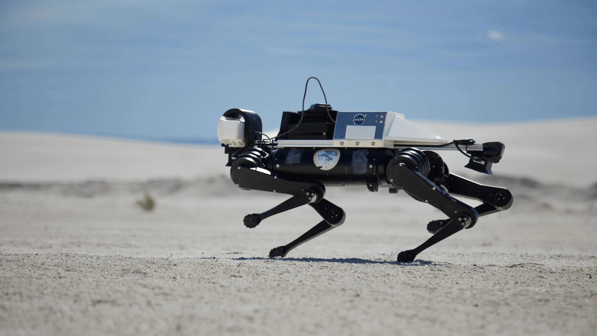 LASSIE’s robot dog may join astronauts on Mars