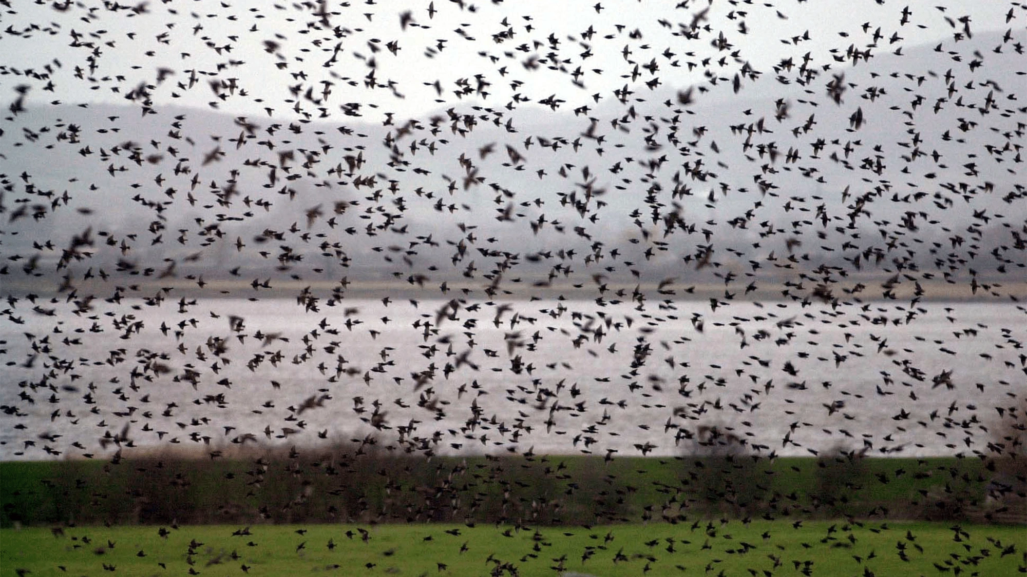 Weather radar picks up over 1 million migrating birds