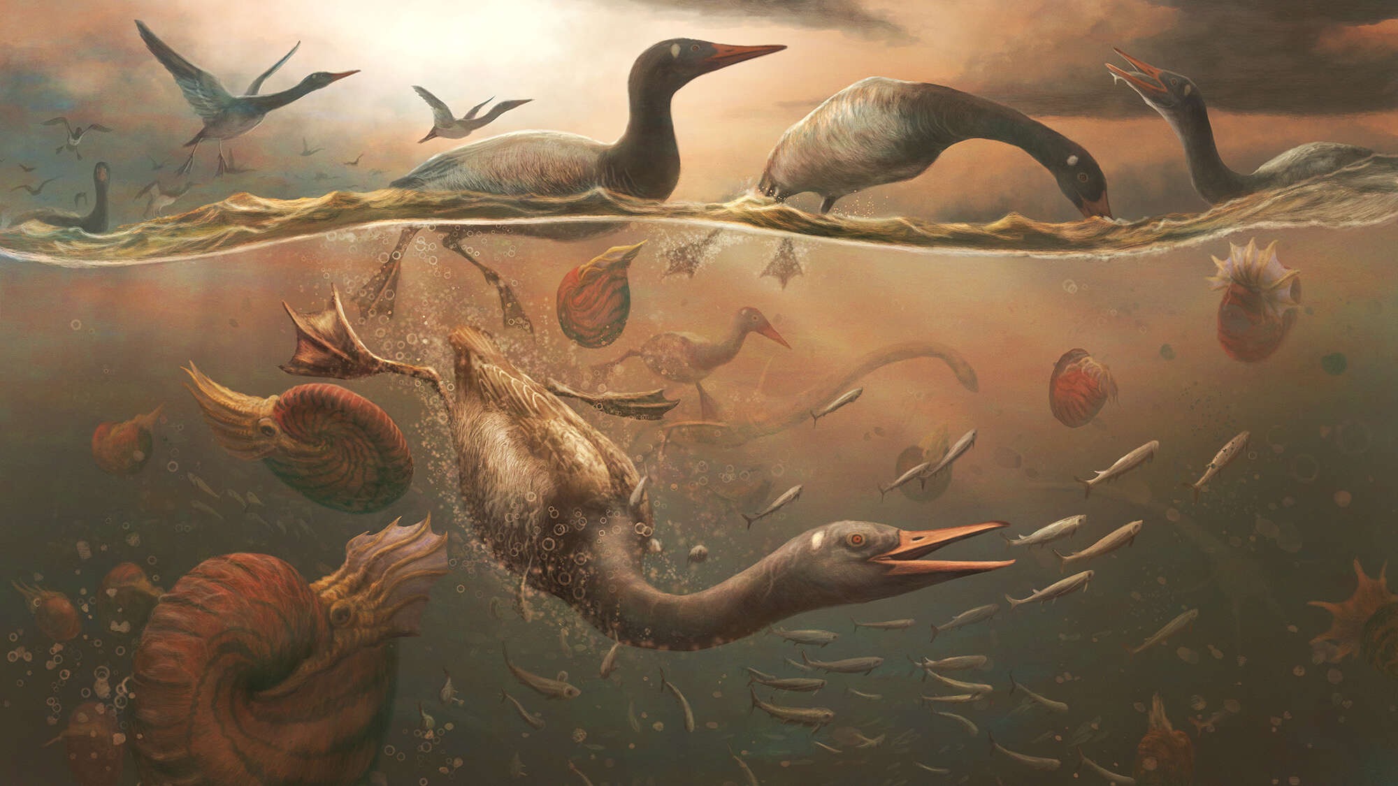 After the asteroid, the earliest bird ancestors thrived in Antarctica