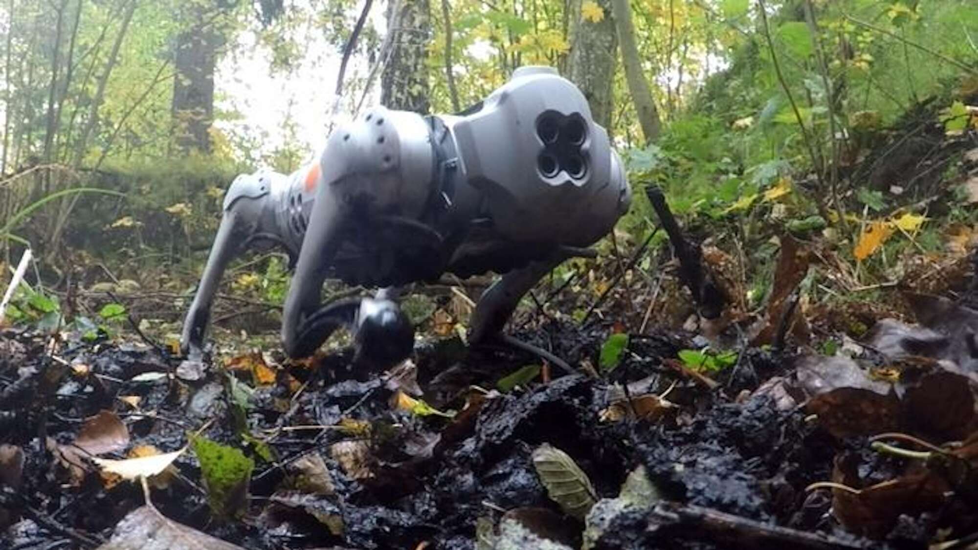 Dog robots can trek through mud using moose-inspired hooves