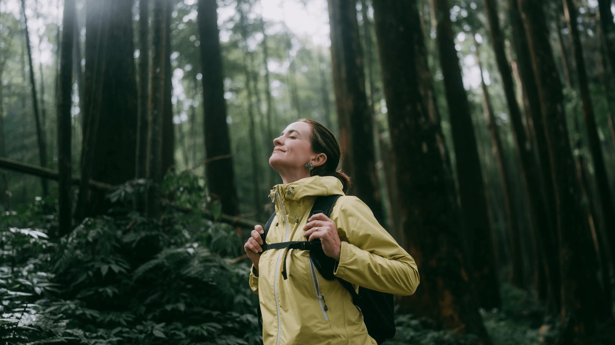 Does St. John’s wort really increase serotonin?
