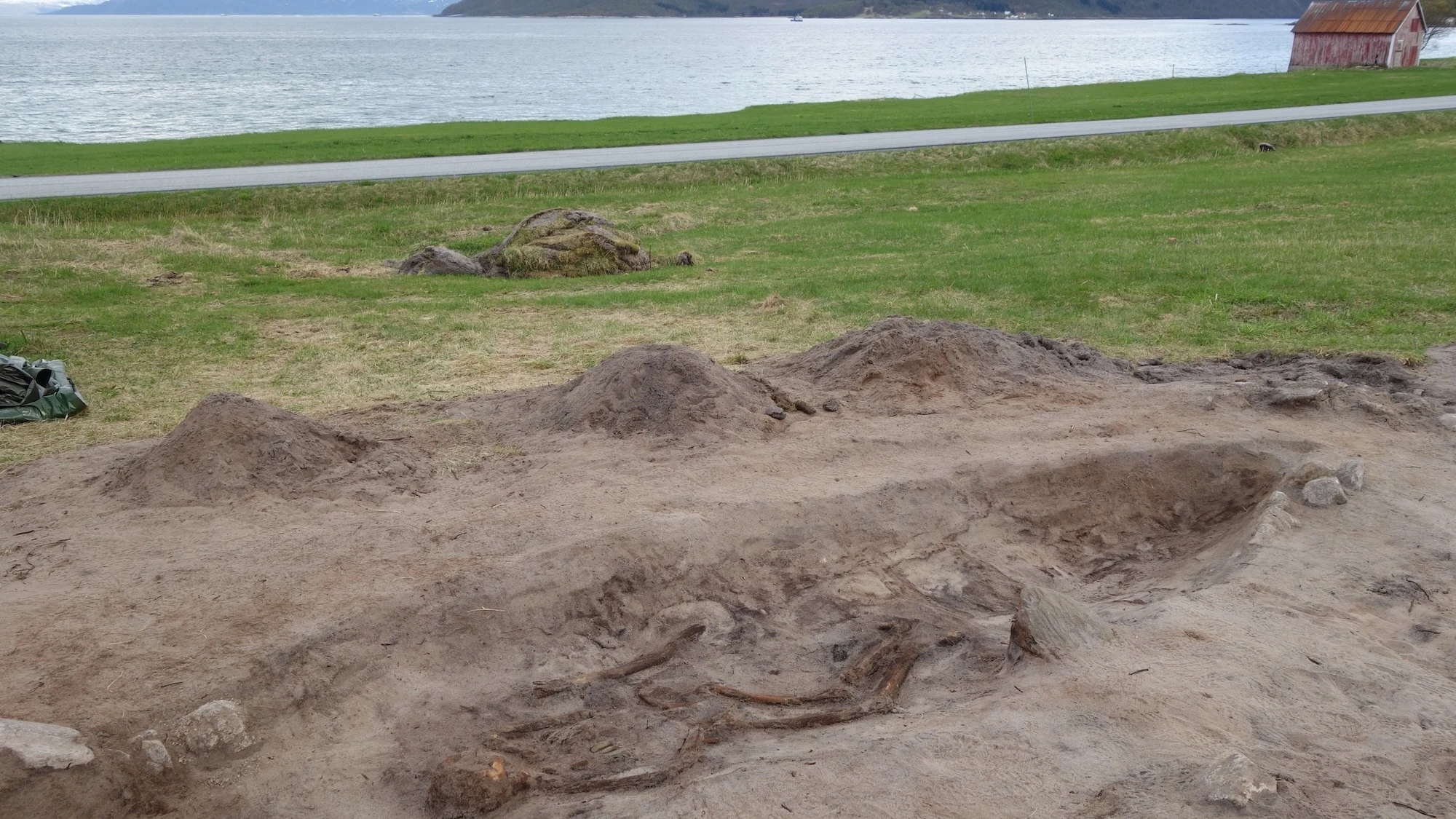 Viking woman buried in ceremonial boat with her dog