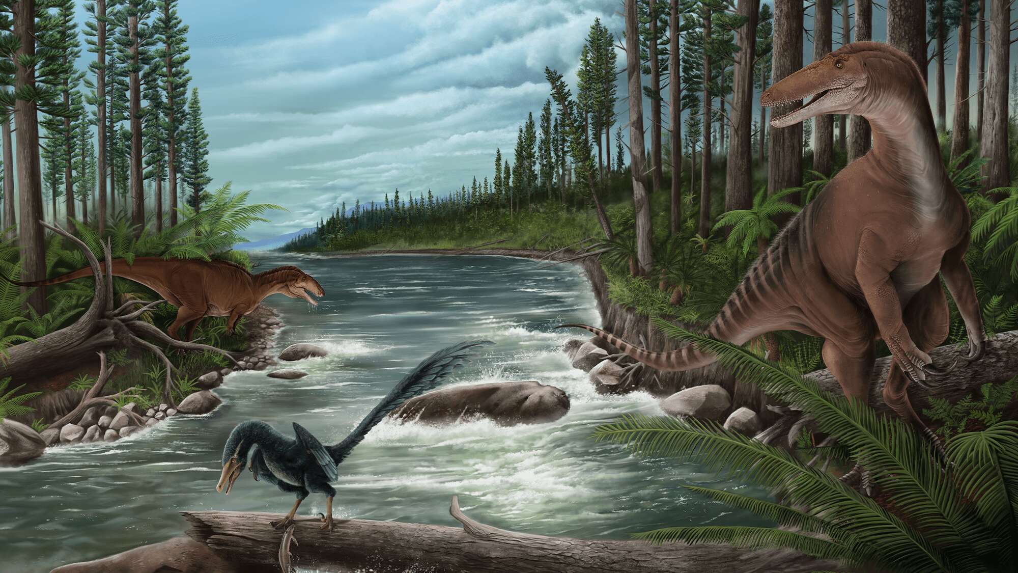 A 20-foot-long ‘mega raptor’ once stalked Australia