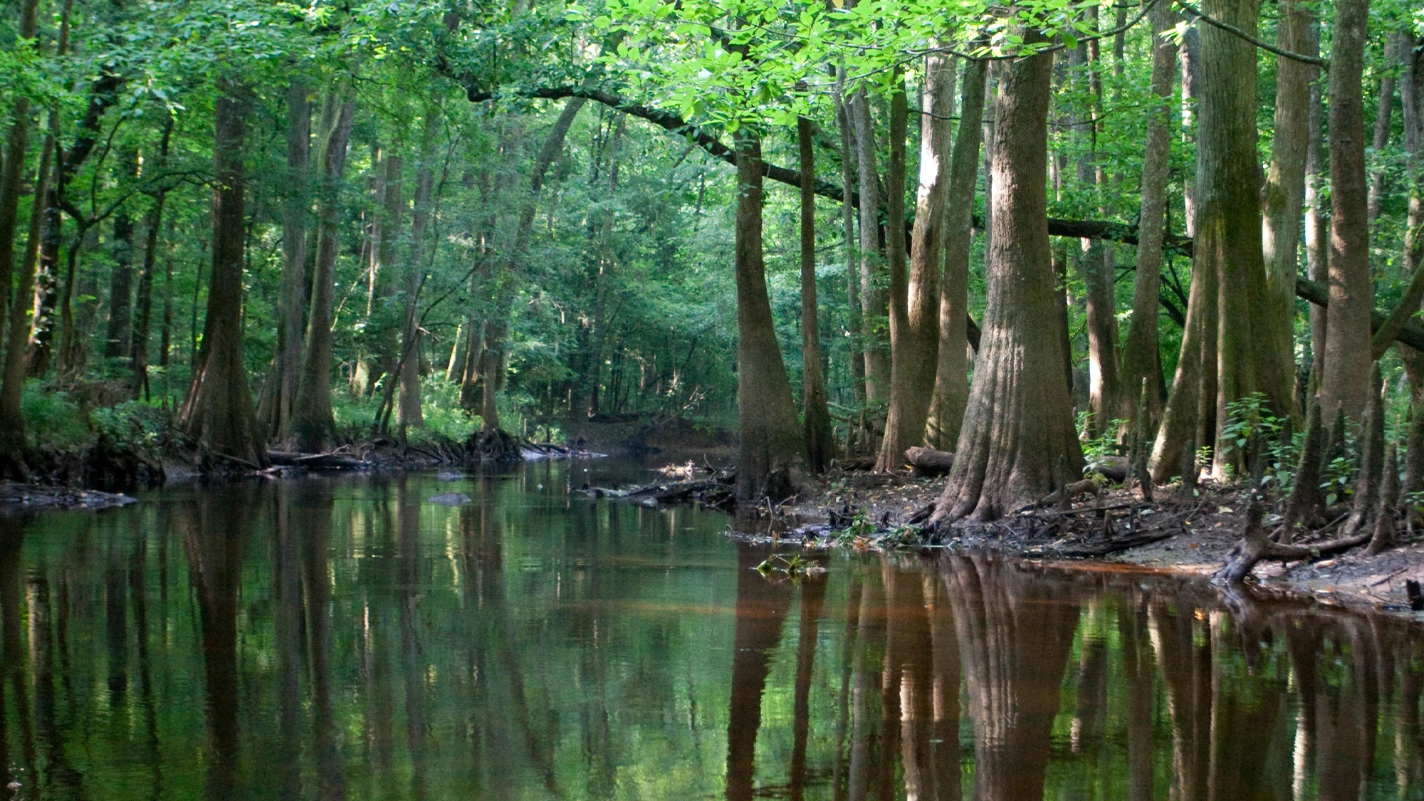This National Park uses a ‘Skeeter Meter’ to inform visitors about mosquitoes