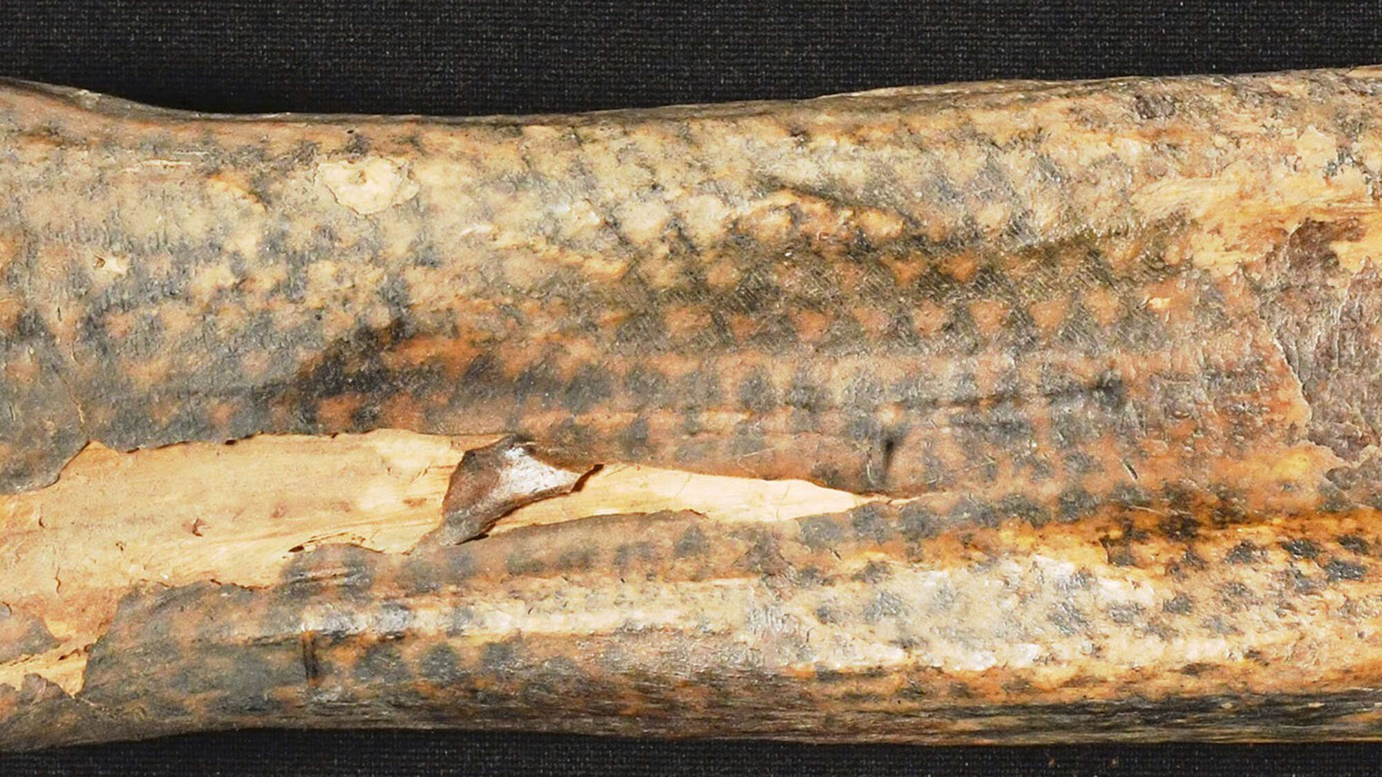 Intricate tattoos on 1,200-year-old mummy revealed by lasers