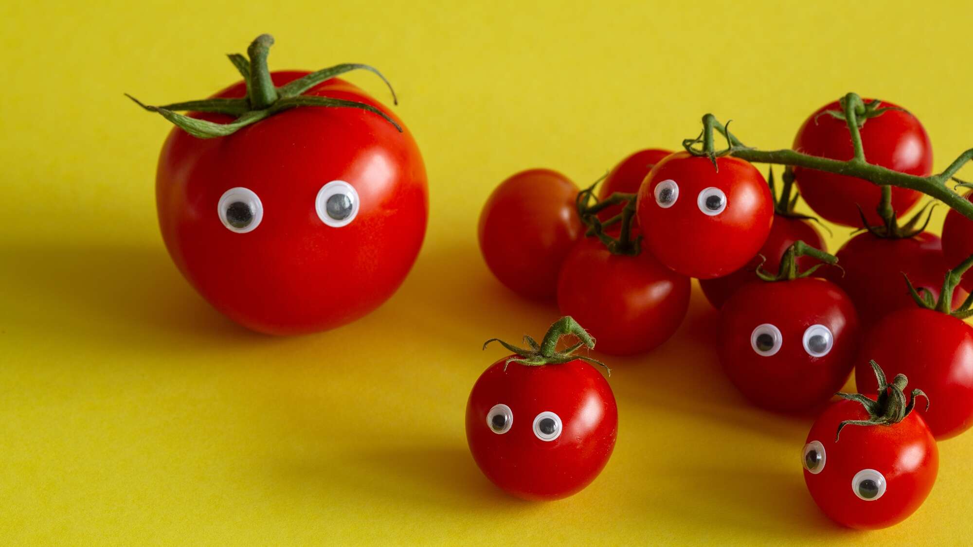 Scientists finally figured out why tomatoes don’t kill you