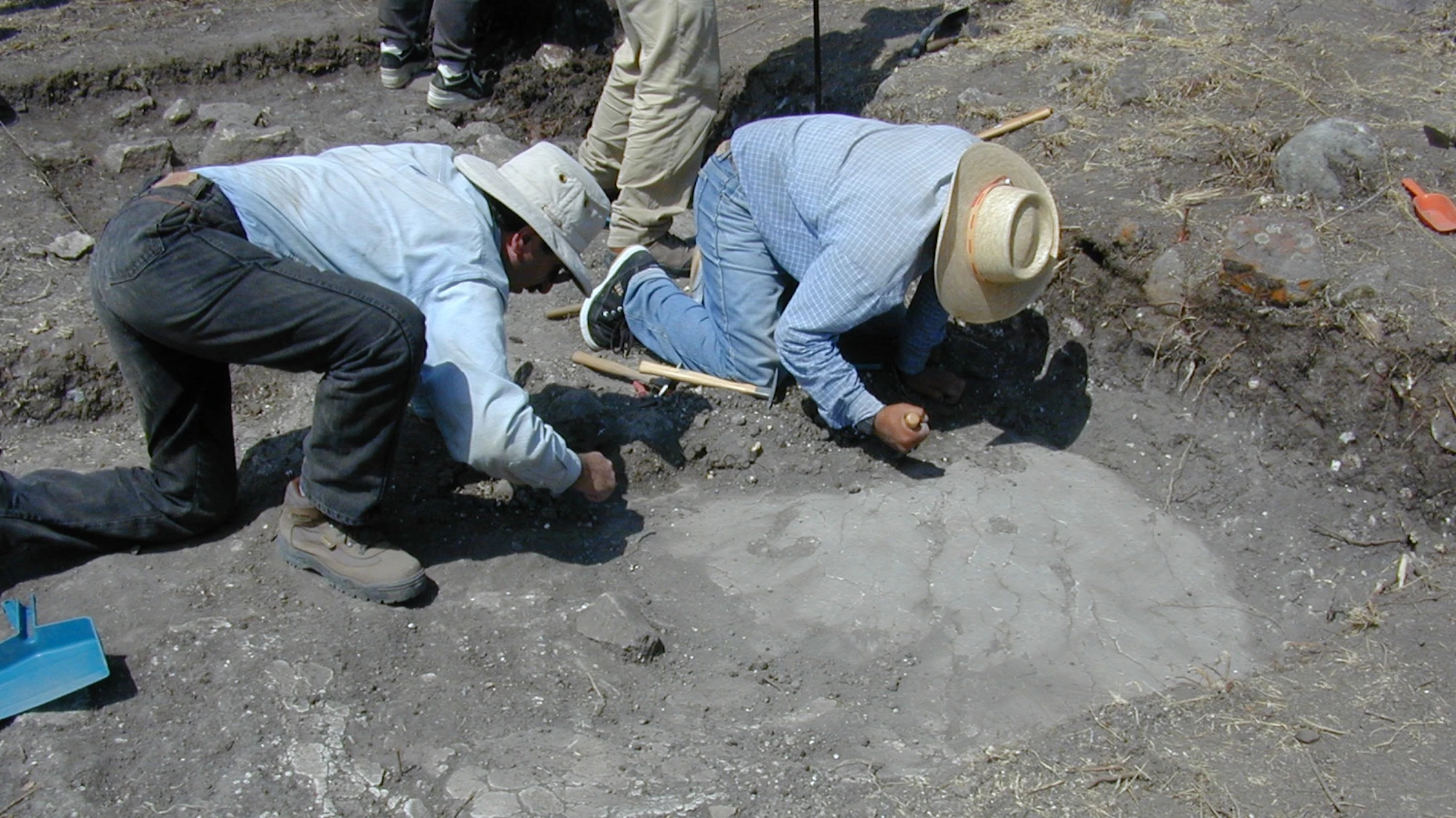 Inequality isn’t inevitable, according to ‘unprecedented’ archeology study