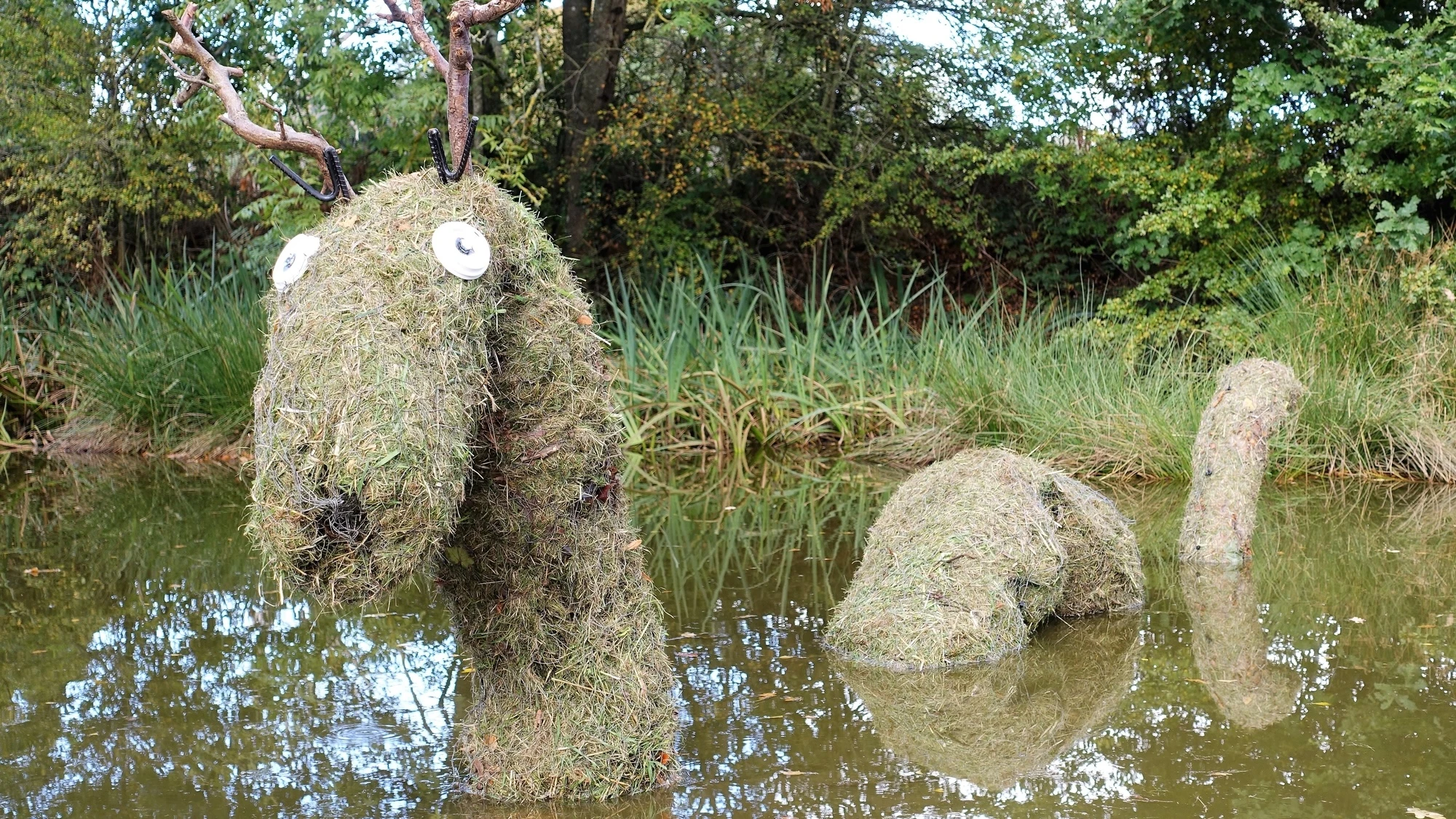 The Loch Ness Monster’s body is a ‘zoological impossibility’
