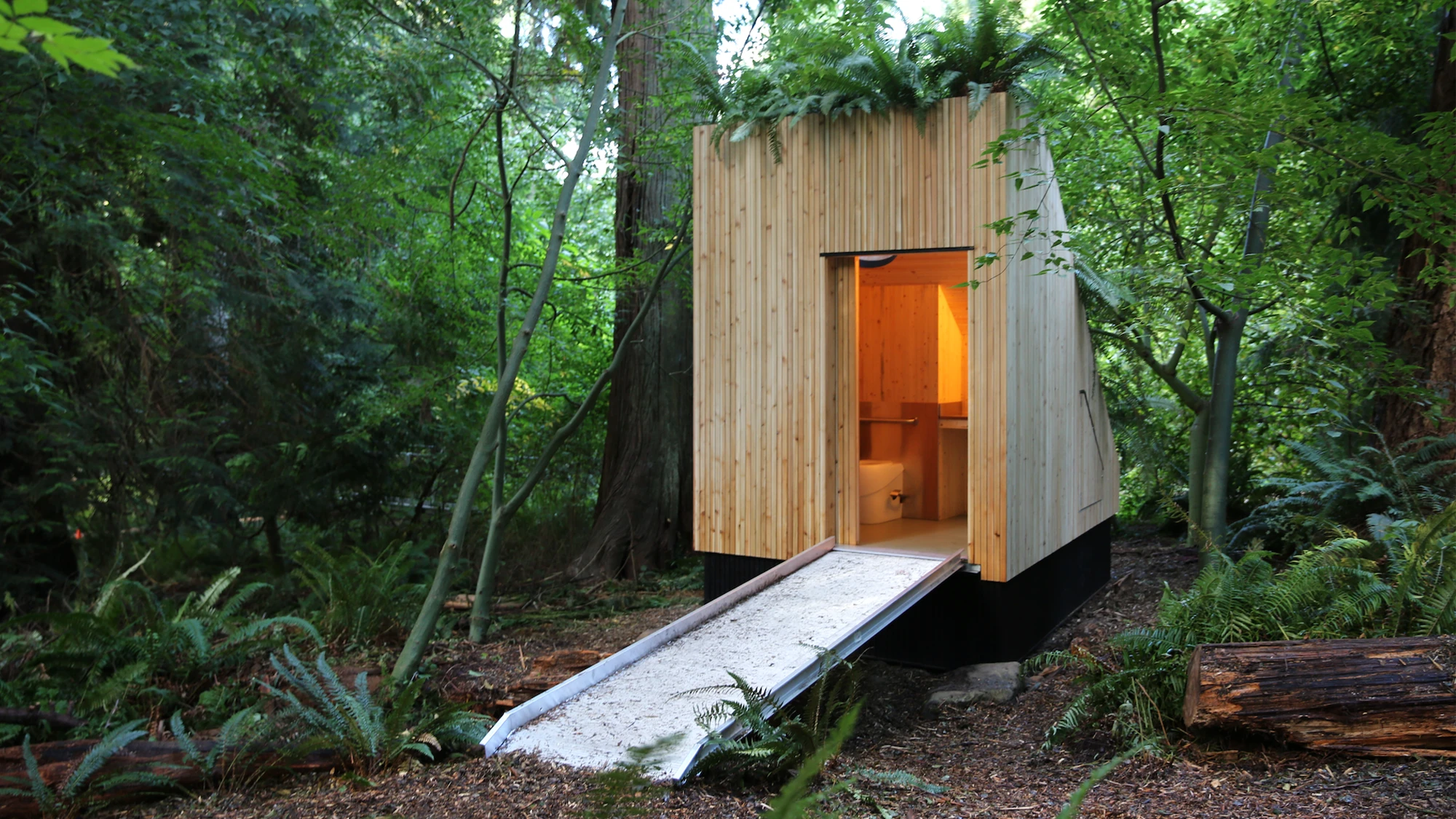 World’s first mushroom-powered toilet could replace stinky porta-potties