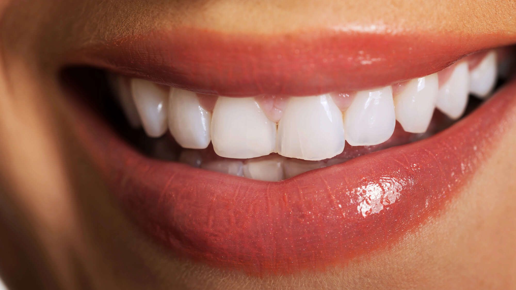 Could we ever regrow our adult teeth?