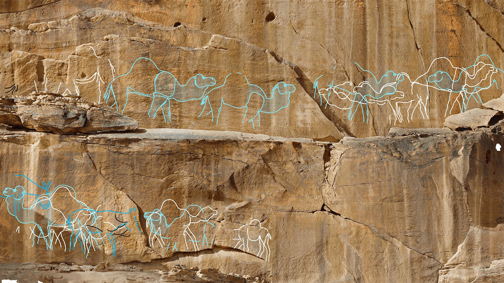 Camels depicted in 12,000-year-old rock art