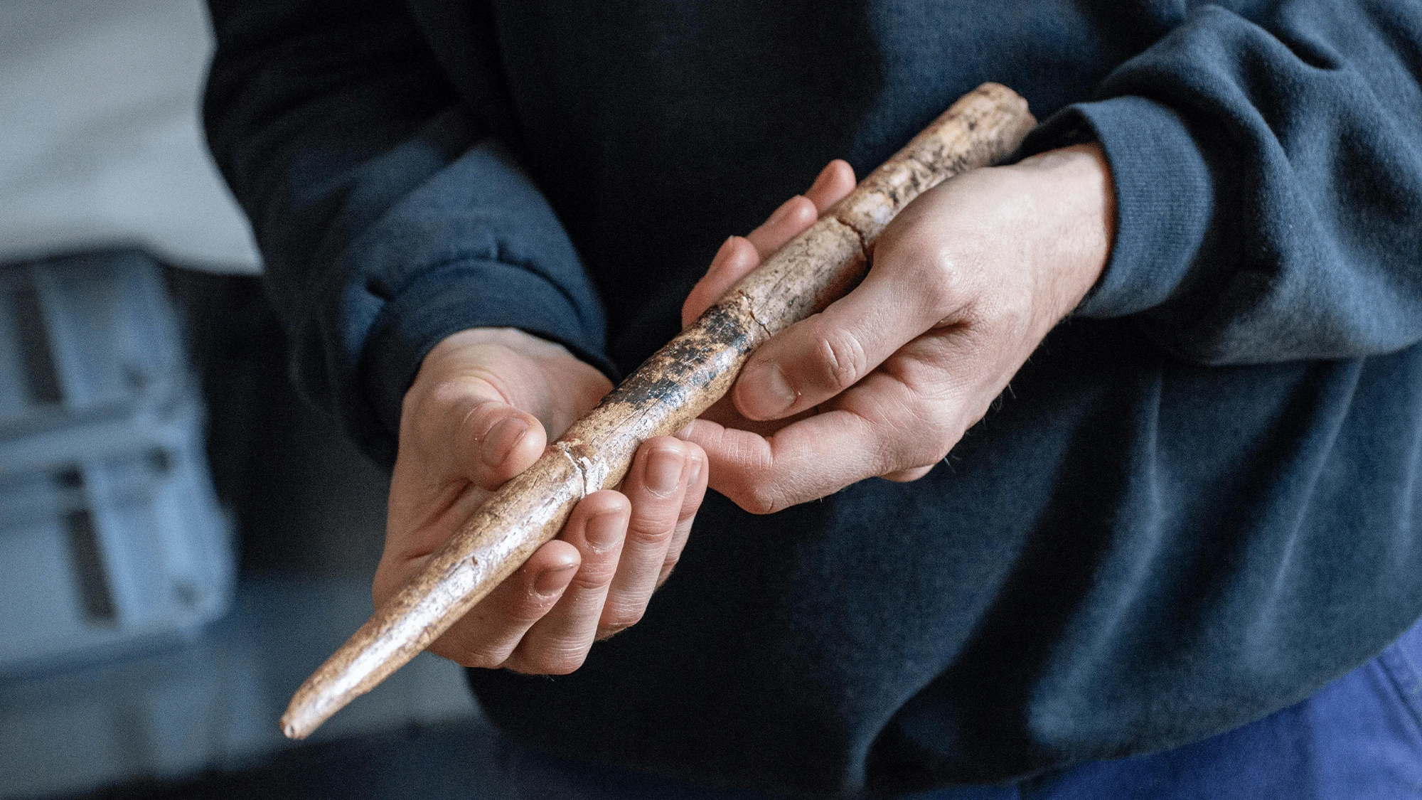 Oldest-known whale bone tools discovered in a Spanish cave