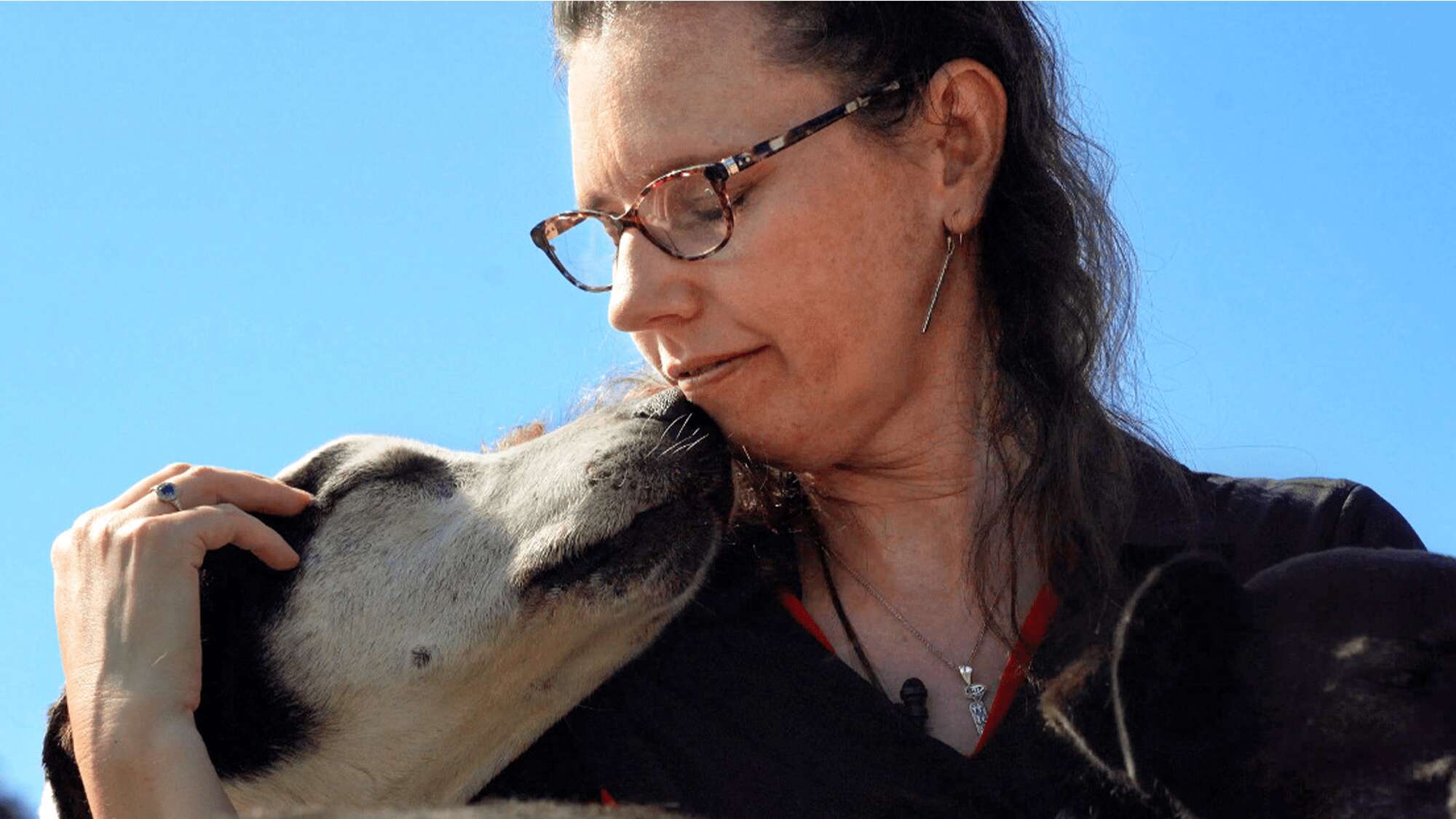 Meet the former musher investigating sled dog genetics