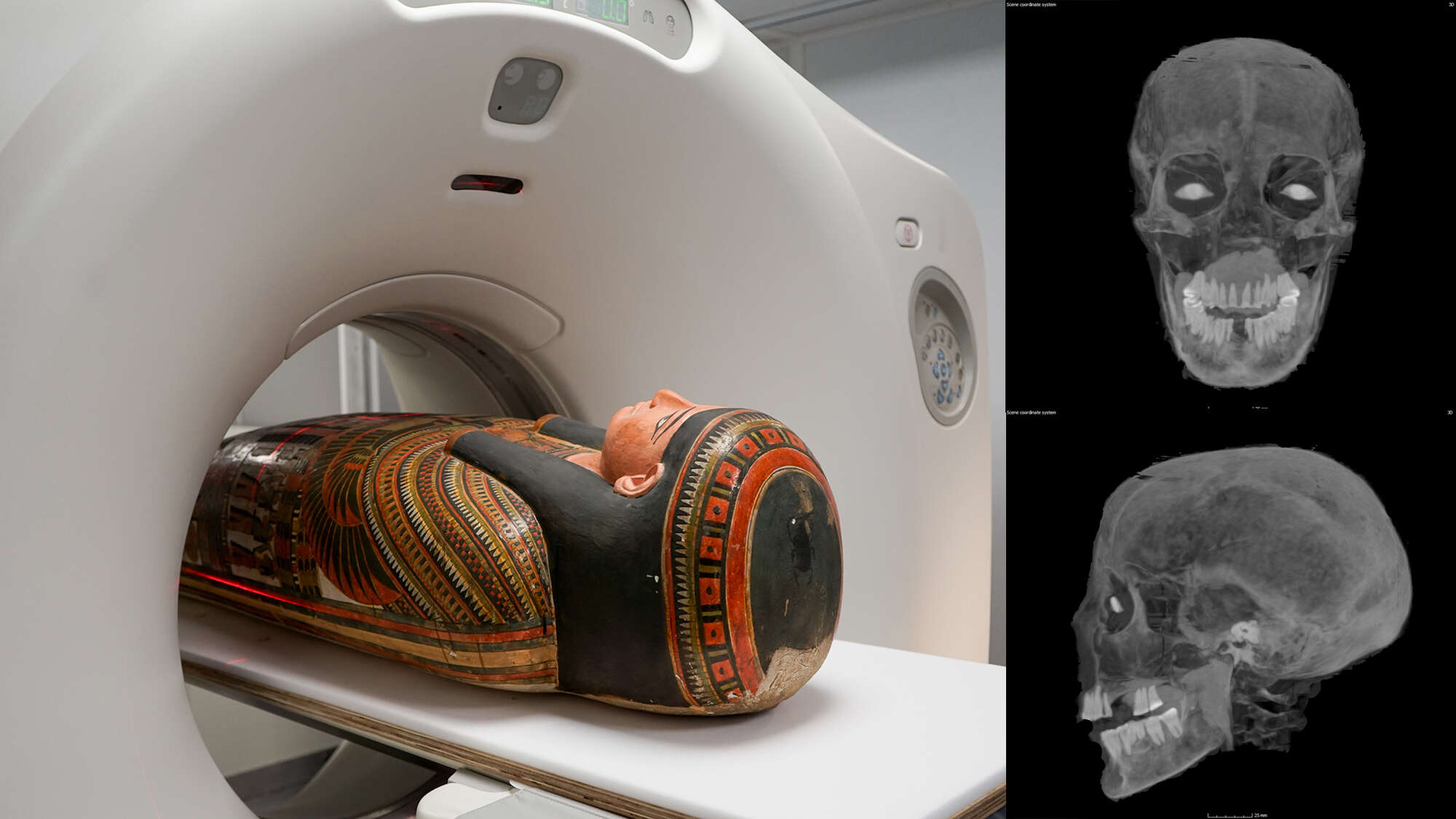 3D scans reveal secrets of a 3,000-year-old Egyptian mummy’s coffin