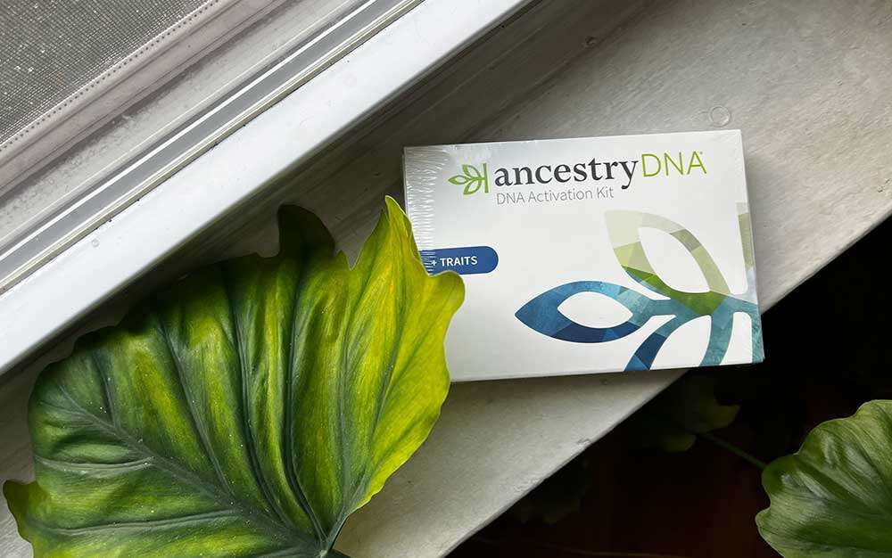 Save 67% off an Ancestry test kit at Amazon for Cyber Monday then blame all your flaws on your DNA