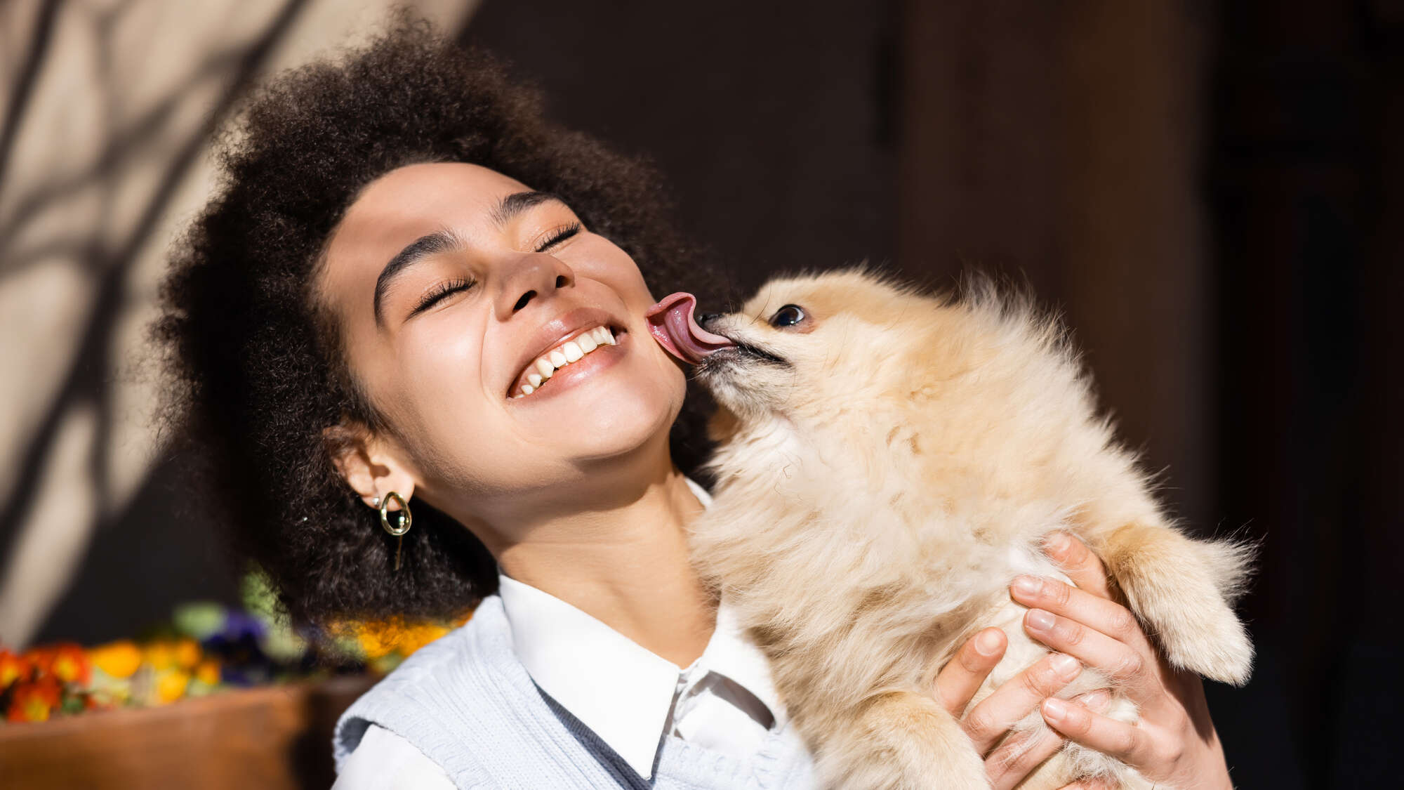 Why do dogs lick humans? It could be a sign of affection… or not.