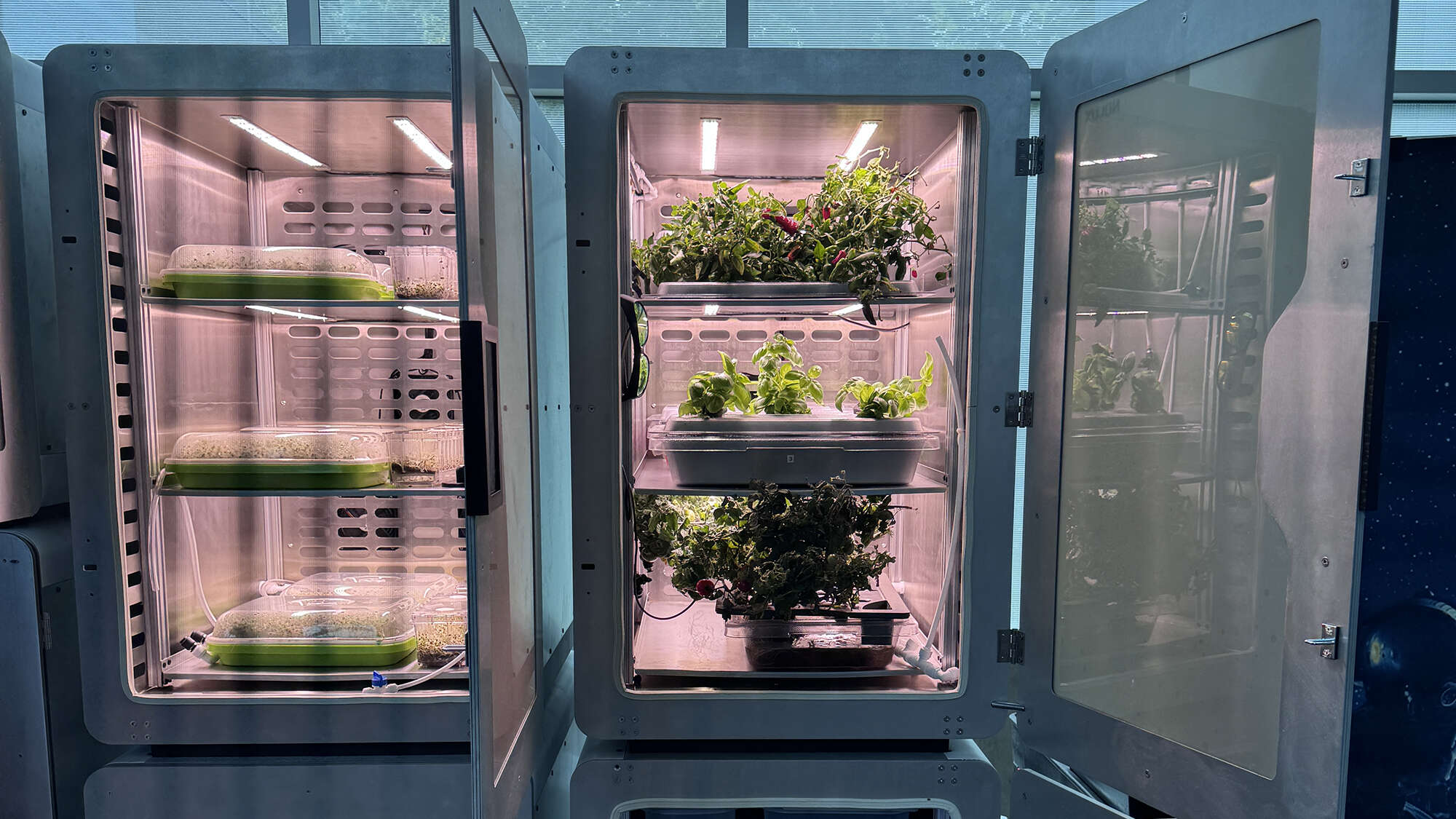 ‘Electro-agriculture’ may help plants grow in the dark