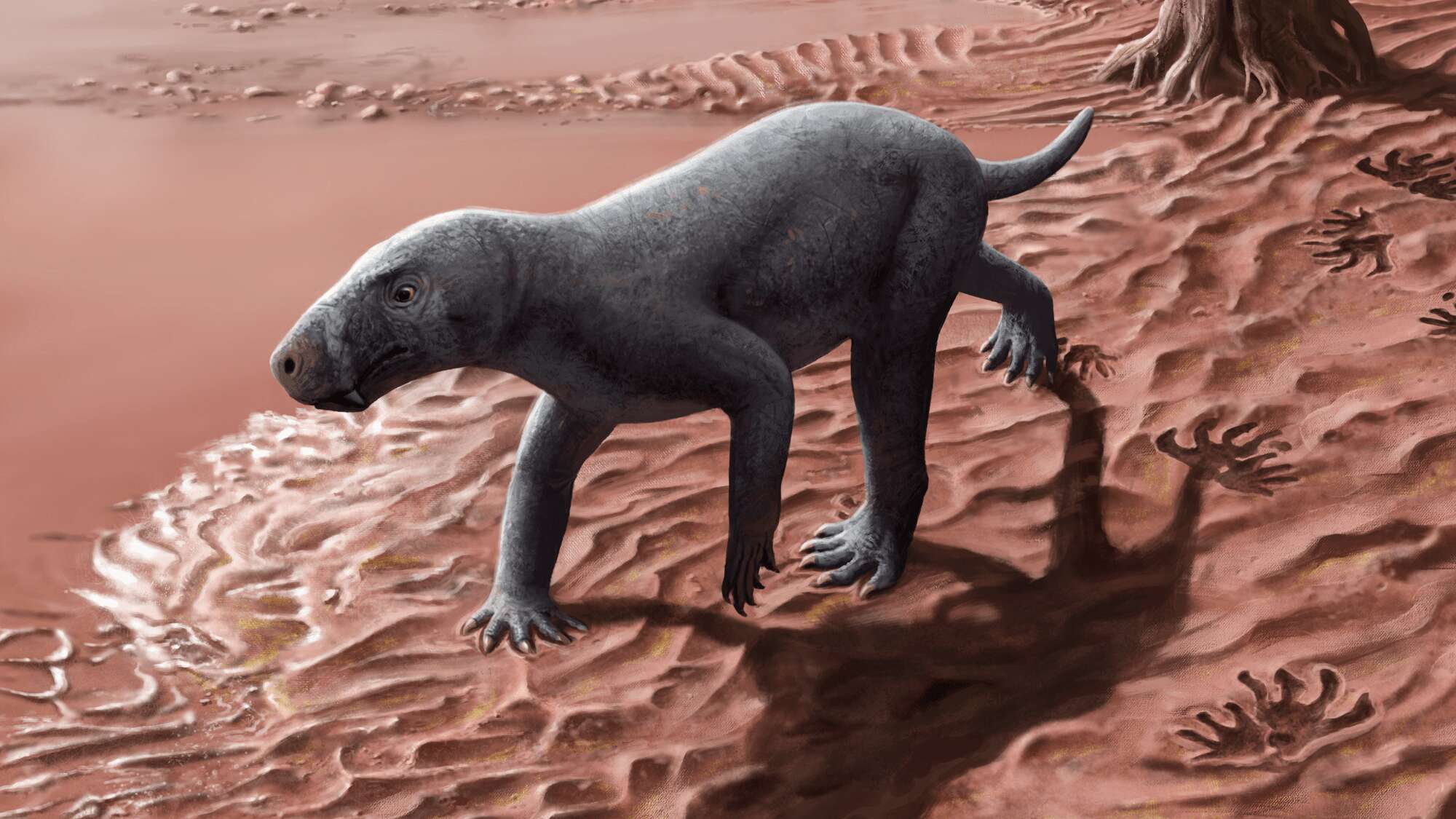 This dog-like predator is the oldest known mammal ancestor