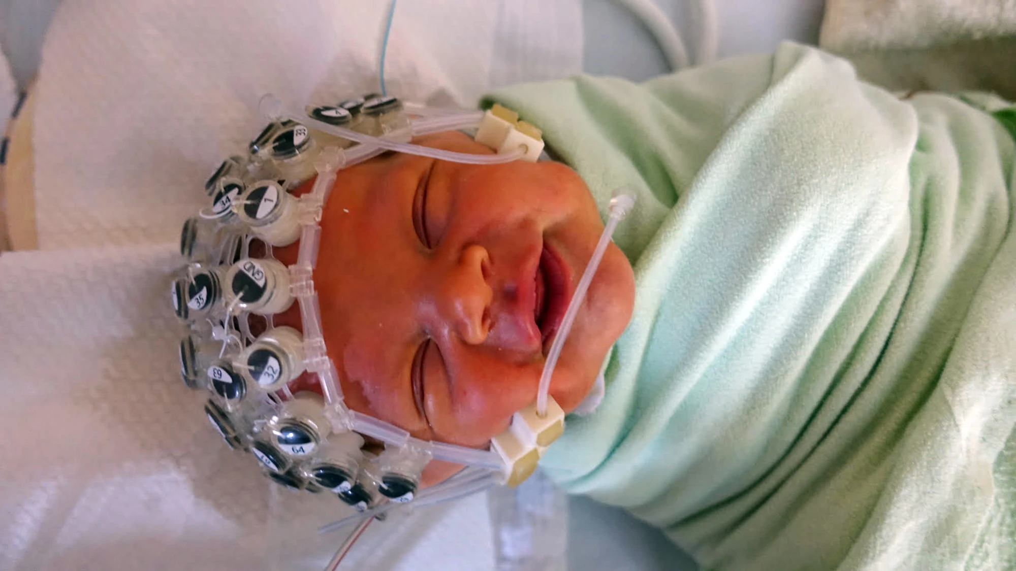 Babies appear to be born with the ability to discern a beat in music