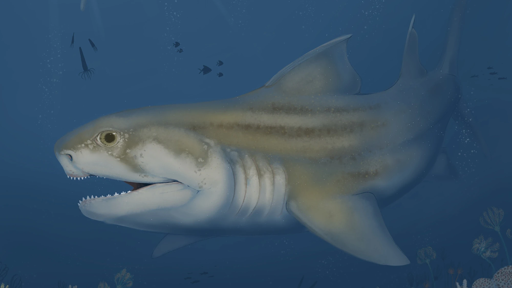 Three new ancient shark species discovered in Alabama and Kentucky