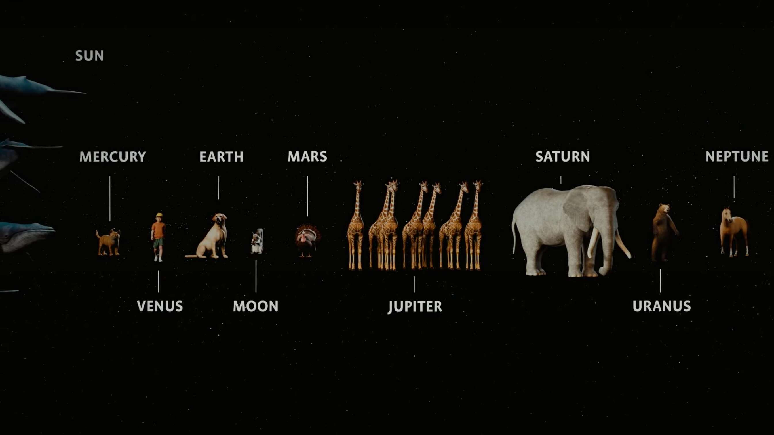 Uranus is a grizzly bear: Understanding planet mass using animals