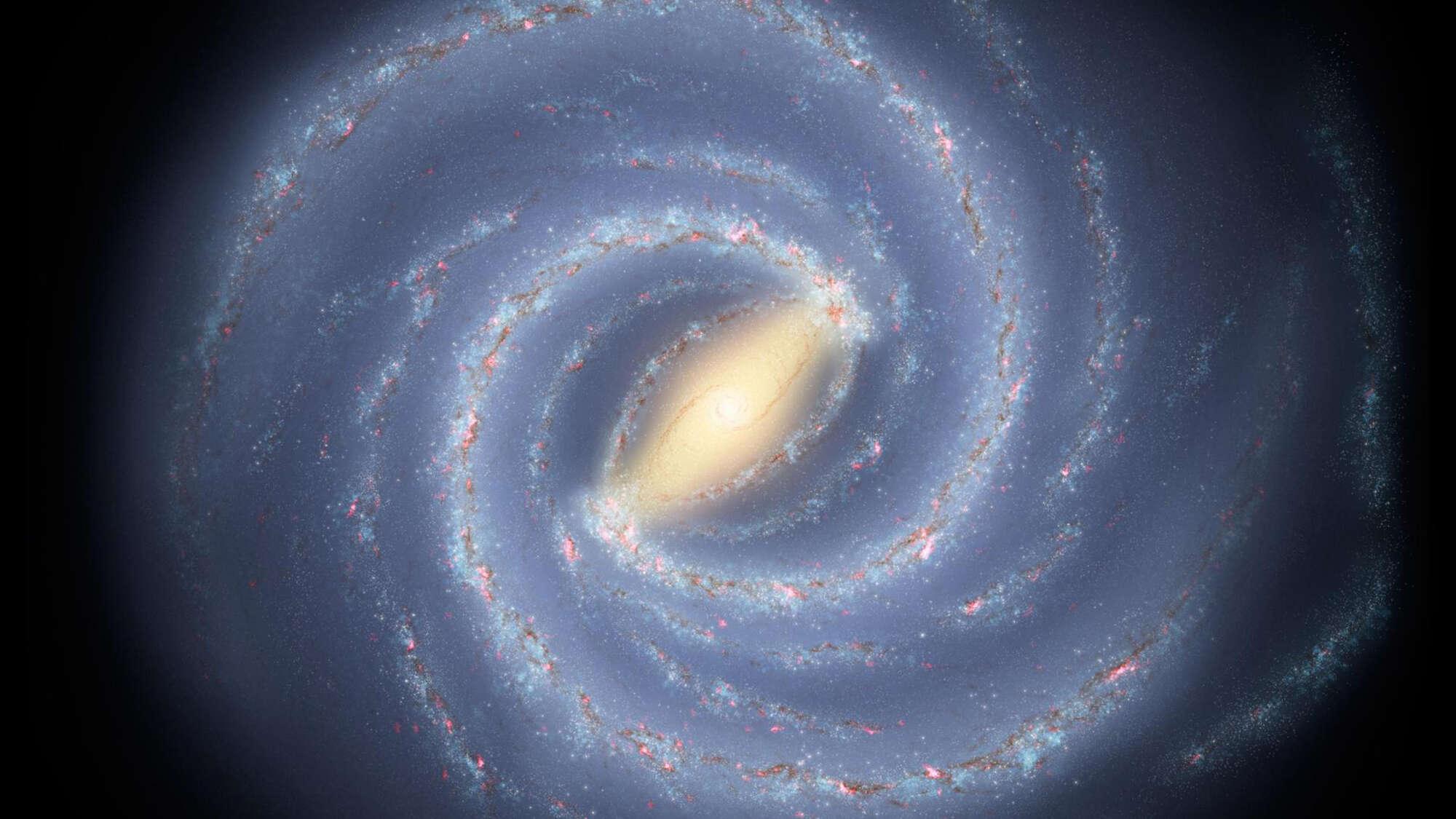 Elliptical galaxies may just be spiral galaxies with their arms lobbed off