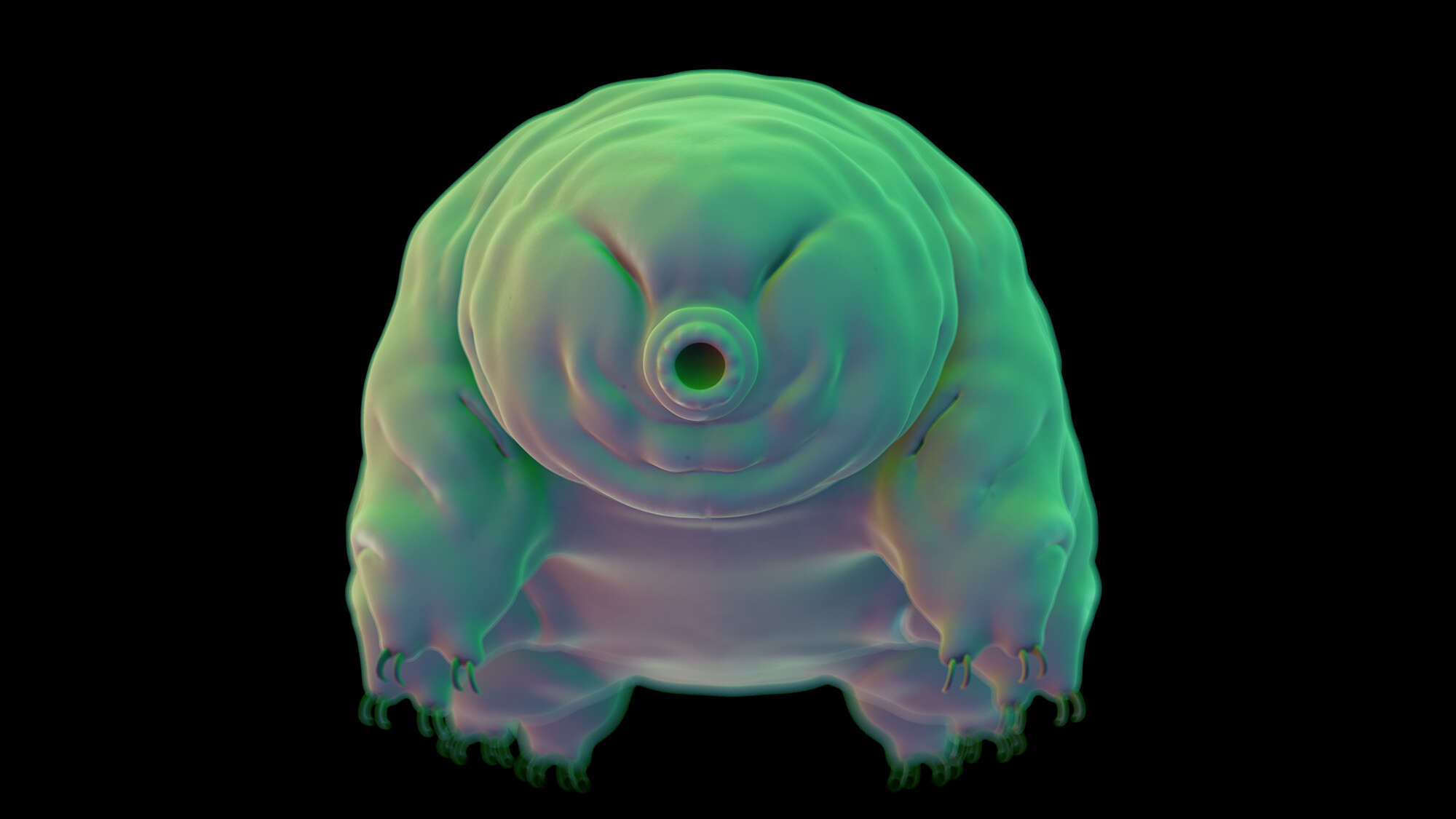 How super resilient tardigrades can fix their radiation-damaged DNA